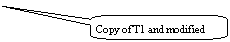 ꨤxιϻr: Copy of T1 and modified